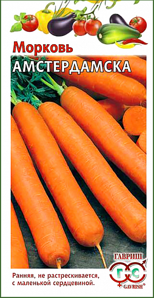 Семена Морковь Амстердамска