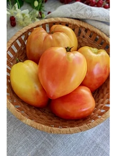 Семена Томат БыС 3 (Абрикосовый)