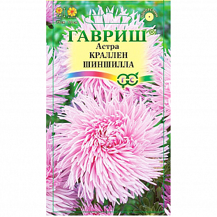 Семена Астра Краллен Шиншилла, однолетняя