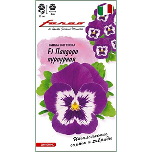 Семена Виола Пандора пурпурная F1