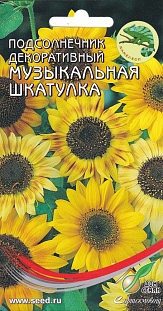 Подсолнечник Музыкальная шкатулка
