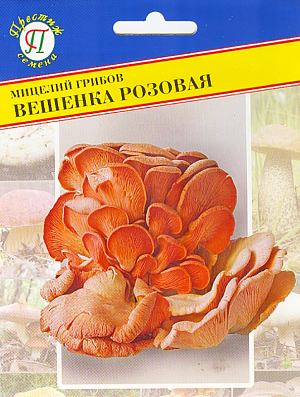 Мицелий грибов Вешенка розовая