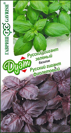 Семена Базилик зеленый Русский гигант + фиолетовый Русский гигант