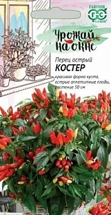 Перец кустарниковый Костер