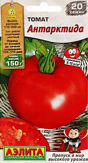 Семена Томат Антарктида