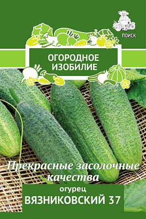 Семена Огурец Вязниковский 37