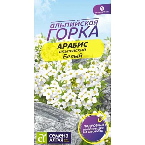 Арабис Белый Альпийский

Декоративный многолетник со стелющимися и укореняющимися побегами, густоветвящийся, образует плотные кустики. Листья с серебристым опушением. Зацветает на второй год после посадки, цветет с конца апреля до начала июня. Цветки 1,5 см. в диаметре, многочисленные, в сжатых кистях. Прекрасно смотрится на альпийских горках и переднем плане миксбордеров. После цветения для сохранения декоративности растение подстригают на высоту 4-5 см., вскоре побеги отрастают вновь.

Светолюбивый, холодостойкий, не требовательный к плодородию почвы (она должна быть легкой, дренированной). Семена высевают в открытый грунт в апреле-мае, всходы прореживают на расстоянии 15 см. Можно выращивать через рассаду, производя посев в марте.