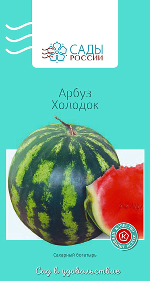 Арбуз Холодок 6шт