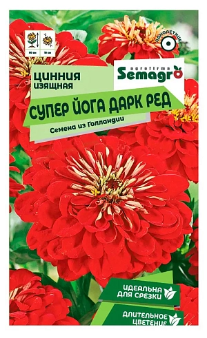 Семена Циннии изящной Супер Йога Дарк Ред 20 шт – это ваш шанс создать поистине великолепный сад, который станет гордостью не только вас, но и ваших соседей. Эти крупноцветковые растения обладают махровыми соцветиями полушаровидной формы, достигающими 10 см в диаметре. Их насыщенный красный цвет будет привлекать взгляды и дарить радость, начиная с июля и заканчивая сентябрем. Семена Циннии изящной Супер Йога Дарк Ред 20 шт идеально подходят как для украшения клумб, так и для создания ярких букетов. Вы сможете наслаждаться длительным цветением и восхитительными цветами на своем участке, которые не потеряют своей декоративности до самых холодов. Не забывайте удалять отцветшие соцветия, чтобы поддерживать свежесть и красоту ваших растений. Качество посадочного материала подтверждено профессионалами, поэтому вы можете быть уверены в 100% урожае. Мы предлагаем индивидуальную упаковку, чтобы каждый пакет семян сохранял свою свежесть и жизнеспособность. А быстрая доставка позволит вам незамедлительно приступить к созданию своего цветочного рая. Представьте, как вы гордитесь своими цинниями, любуясь их великолепием на фоне вашего сада. Не упустите возможность сделать свой участок ярче и привлекательнее с помощью Семена Циннии изящной Супер Йога Дарк Ред 20 шт.