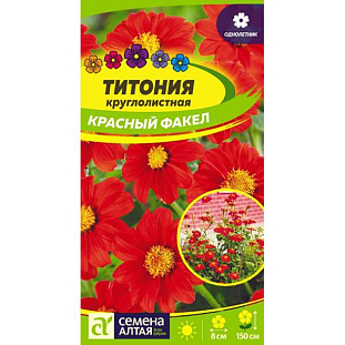 Титония Красный факел Титония Красный факел