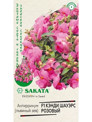 В упаковке 3 шт. Антирринум (Львиный зев) – декоративный и очень популярный однолетник. В настоящее время создано множество его форм, которые отличаются окраской цветков, высотой и формой куста. Данный гибрид является редкой ампельной разновидностью растения, формирующей аккуратный мини-шар из нежно-розовых кистевидных соцветий. Растение карликовое, высотой 20 см, цветет с конца июня до поздних заморозков. Культура холодостойкая и светолюбивая, к почвам нетребовательная, в засушливый период нуждается в поливе. Выращивают Львиный зев рассадным способом. Посев проводят с начала марта до середины апреля, поверхностно, не заделывая в ящики с субстратом, и ставят на свет. Всходы появляются через 8-12 дней. Рассаду высаживают во второй половине мая с расстоянием между растениями 10 см. Растение особенно эффектно выглядит в подвесных кашпо.