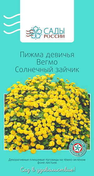 Пижма девичья Вегмо Солнечный зайчик

Сильноветвистое очень привлекательное растение с красивыми темно-зелеными перисто-рассеченными листьями и махровыми пушистыми соцветиями диаметром 1,5–3 см, собранными в зонтик. Пижма девичья серии «Вегмо» – окультуренная садовая форма, цветущая практически все лето до поздней осени. Первое цветение на 2-й год после посадки. Холодостойка. Хорошо зимует под снежным покровом, но в суровые зимы вымерзает.