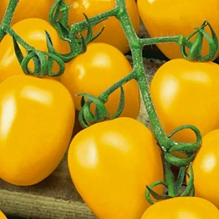 Семена Томат Де Барао золотой