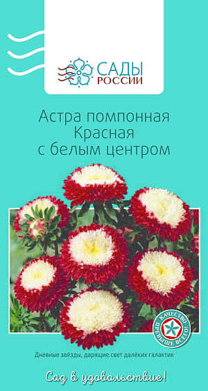 Астра Помпонная Красная с белым центром

Привлекательна плотными плоскоокруглыми набивными соцветиями-подушечками. Окраска яркая, насыщенная, двуцветная, красная с белым центром. Куст колонновидный или пирамидальный, диаметр соцветий 6−8 см.