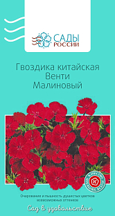 Семена Гвоздика китайская Венти Малиновый