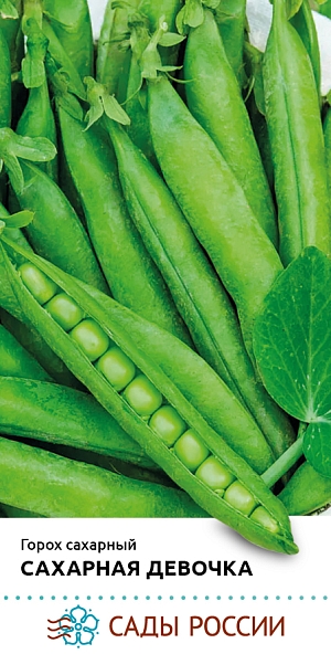 Семена Горох Сахарная девочка