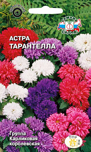 Семена Астра карликовая Тарантелла смесь цветов.
Эффектная, нарядная смесь, относится к группе карликовых Хризантемовидных астр. Растения сильноветвистые, до 25 см в поперечнике, с многочисленными цветоносами. Соцветия махровые, крупные, 10-12 см в диаметре. Язычковые цветки ленточные, немного скрученные, до 5 см длиной. Предпочитает светлые, защищенные от ветра участки с хорошо дренированной почвой. Используется в групповых и бордюрных посадках, высаживается массивами при оформлении партерных зон, как горшечная и балконная культура, для оформления патио-двориков.