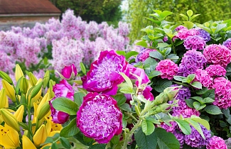 Эксклюзивные новинки 2026: будьте первыми.