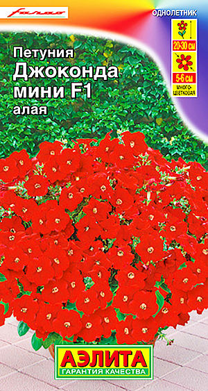 Семена Петуния Джоконда мини алая F1.<br>
Пышное, щедрое цветение и радуга расцветок петунии ДЖОКОНДА МИНИ F1 создает жизнерадостное настроение. Гибрид формирует растения с аккуратным компактным кустом высотой 25-30 см. Куст сохраняет привлекательность на протяжении всего сезона, никогда не оголяется по центру, поскольку обладает генетической способностью хорошо ветвиться от самого основания. Богатейшее цветение достигается благодаря гену мужской стерильности: растения не образуют семян, но стремятся к этому, продуцируя все больше и больше цветов Ш 5-6 см. Даже попав под небольшой заморозок, быстро восстанавливается и неутомимо цветет. Цветки не травмируются сильным ветром, устойчивы к дождям. Гибрид украсит солнечные и слегка затененные цветники, садовые контейнеры, балконные ящики. Поддерживая оптимальные условия выращивания (11-ти часовой световой день и температуру 20-22°С), можно сохранить растения цветущими круглый год. Агротехника. Посев на рассаду с февраля до апреля. Семена в гранулах! Посев поверхностный, без заделки (семена прорастают на свету!), под стекло или пленку для сохранения постоянной влажности до полных всходов. Гранулы при посеве должны раствориться! Февральским посевам требуется дополнительная подсветка. Всходы появляются на 5-6 день. Пикировка в фазе 1-2-х настоящих листьев. Высадка в грунт закаленной рассады в конце мая. Поддерживая оптимальные условия выращивания (11-ти часовой световой день и температуру 20-22°С), можно сохранить растения цветущими круглый год. Для продолжительного и обильного цветения растениям необходим своевременный полив, регулярная прополка, рыхление и подкормка минеральными удобрениями. 