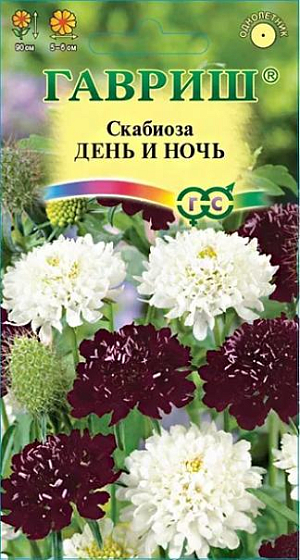 Великолепная смесь сортов крупноцветковых скабиоз густо-красной и белой окраски. Растение однолетние неприхотливое холодостойкое из семейства Ворсянковые. Стебель прямой, разветвляющийся, высотой до 90 см. Прикорневые листья ланцетно-овальные, крупнозубчатые, стеблевые – супротивные, перисто-раздельные. Мелкие цветки собраны в головчатые соцветия диаметром 5-6 см. Соцветия махровые, на длинных прочных цветоносах, что особенно ценно для цветочных аранжировок. Предпочитает солнечнее места с плодородной рыхлой почвой. Размножают семенами: посев на рассаду — в феврале-марте; в открытый грунт — в апреле-мае, выдерживая расстояние между растениями 35-40 см. Идеально подходит для клумб, рабаток. В срезке стоит очень долго. Отлично переносит пересадку даже в цветущем состоянии.