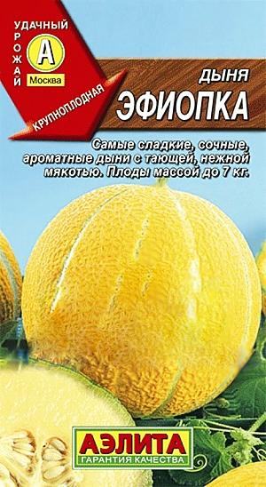 Семена Дыня Эфиопка 