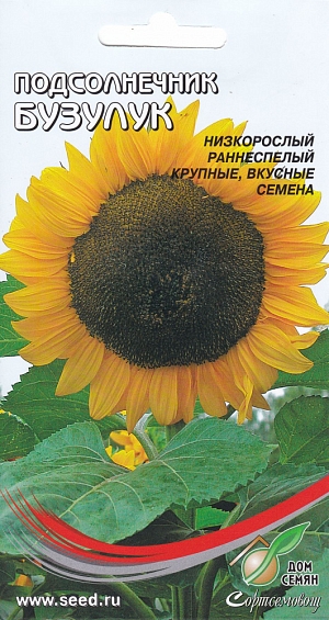 Подсолнечник Бузулук