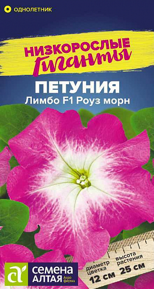 Семена Петуния Лимбо Роуз пикоти F1.<br>
 <br>
 Петуния Лимбо – единственная на рынке генетически карликовая серия крупноцветковой петунии. Растение имеет очень хорошее ветвление, не перерастает и не вытягивается в течение всего сезона. Не нуждается в регуляторах роста. Образует компактные кустики, покрытые крупными, до 12 см в диаметре, розовыми цветками с белой серединой. Растение очень быстро восстанавливается после дождя. Цветение наступает раньше, чем у других крупноцветковых петуний. Идеальный материал для декоративного оформления балконов, фасадов зданий, городских и садовых участков.<br>
 <br>
 <br>
  Светолюбивое и достаточно засухоустойчивое растение. Предпочитает легкие плодородные, хорошо дренированные почвы. Посевы на рассаду проводят с середины февраля. Семена равномерно распределяют по поверхности субстрата, не заделывая, а лишь слегка вдавливая в грунт. Для получения наилучшего результата посев рекомендуем проводить в торфяные таблетки (одно драже в таблетку). Посевы увлажняют из распылителя и накрывают стеклом для поддержания постоянной влажности. Емкость помещают в светлое теплое место (+22-24°С). Всходы появляются через 10-15 дней, стекло убирают. Февральским посевам требуется дополнительная подсветка. Пока всходы мелкие, их лучше не поливать, а опрыскивать, избегайте попадания на них прямых солнечных лучей. Пикировку проводят в фазе 1-2-х настоящих листочков. В открытый грунт рассаду высаживают в конце мая - начале июня, когда минует угроза возвратных заморозков. Посадочный интервал – 30-40 см. Обильное и продолжительное цветение с июня до осенних заморозков. Возможно сохранение растений зимой в освещенном помещении при температуре около +12°С с предварительной обрезкой побегов.<br>
 <br>
 <b> Внимание!</b> Семена дражированные - оболочку драже не разрушать!<br>