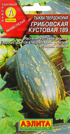 Семена Тыква Грибовская кустовая 189 твердокорая