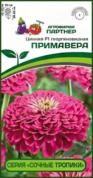 Имя этой мексиканской красотки созвучно с названием легендарного коктейля - «Примавера». Чудесная розовая окраска цветка выглядит «вкусно», «фруктово-сочно», но не ослепительно ярко, приобретая, по мере роспуска, более пастельный оттенок. Очень крупные, до 12 см в диаметре, цветки редко появляются по одному, чаще всего - это целый букет! Одновременно на растении может быть раскрыто более десятка цветков, которые долго держат форму и не выгорают на солнце. Генетически компактные кусты, до 50 см в диаметре, все как на подбор — выравненные, с хорошим ветвлением и устойчивыми цветоносами. <br>
 <br>
 Серия «Сочные тропики» отличается ранним, продолжительным цветением, неприхотливостью в уходе, а крепкое здоровье растений позволяет противостоять неблагоприятным погодным условиям и быть высокоустойчивыми к комплексу заболеваний. Это поистине удивительная серия для любого садового интерьера: ландшафтного, балконного или контейнерного декора в любимом патио-дворике. Чтобы цинния полностью раскрыла свой потенциал, рекомендуем объем кашпо 8-10 л на одно растение и схему посадки в грунте – 35х35 см.<br>
 <br>
 <iframe width="853" height="480" src="https://www.youtube.com/embed/htdTJSYH9Aw?feature=oembed" frameborder="0" allow="accelerometer; autoplay; clipboard-write; encrypted-media; gyroscope; picture-in-picture; web-share" allowfullscreen="" title="Циннии">
</iframe> <br>