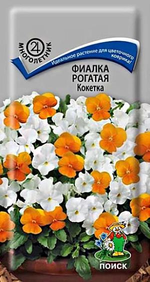 Семена Фиалка (Виола) рогатая Кокетка. Идеальное растение для цветочного коврика. Высота кустика 10 см. Стебли образуют плотные подушки. Смесь состоит из оранжевой и белой окраски.  Одновременно на кустике насчитывается до 60 цветков. Цветёт с мая по сентябрь. Используют для бордюров, альпинариев и миксбордеров.<br>
 <br>
 Агротехника. Растение переносит кратковременные заморозки. Предпочитает рыхлые плодородные почвы и полутенистое место. Для весеннего цветения посев семян производят в феврале. Семена высевают в рассадные ящики, слегка присыпав их легкой землей. Посадочную емкость накрывают стеклом и ставят в освещённое место. При температуре почвы +15-18°C всходы появляются на 15-20 день. Сеянцы пикируют в фазе 1-2-й пары настоящих листьев, в открытый грунт высаживают в апреле, выдерживая расстояние между растениями 20-25 см. Для осеннего цветения посев семян производят в июле под стекло или в открытый грунт, рассаду высаживают на постоянное место в конце августа – начале сентября.