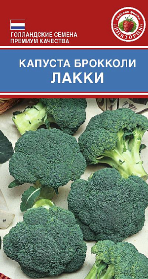 Семена Капуста брокколи Лакки F1