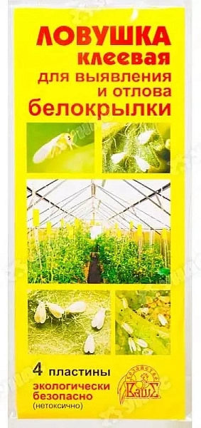 Ловушка клеевая для выявления и отлова белокрылки Ловушка клеевая для выявления и отлова белокрылки