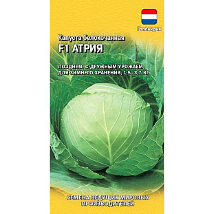 Семена Капуста белокочанная Атрия F1