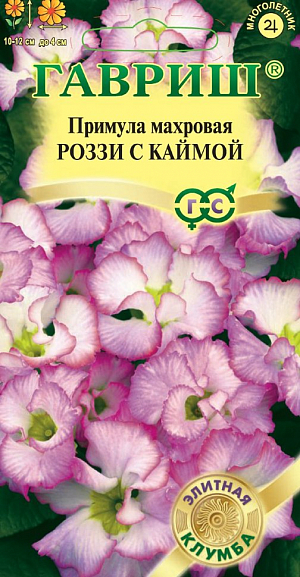 Семена Примула махровая Роззи с каймой F1<br>
 <br>
 Одно из самых раннецветущих травянистых многолетних растений, относится к семейству Первоцветные. Образует компактный и очень выровненный кустик высотой 10-12 см. Растение с крупными (до 4 см), махровыми цветками-розочками бело-розового оттенка с темно-розовой каймой по краю и цельными прикорневыми зелеными листьями. Примула морозоустойчива и теневынослива. Легко переносит пересадку даже во время цветения.<br>