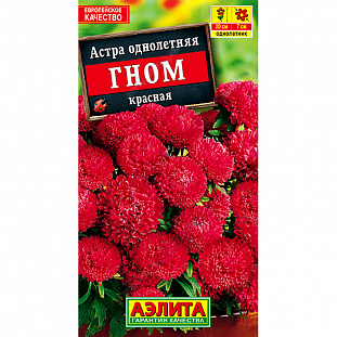 Семена Астра Гном красная