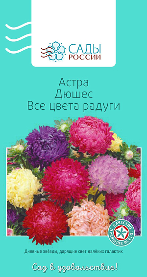 Астра Дюшес Все цвета радуги

Всем знакомая и всеми любимая классическая садовая астра. Куст колонновидный, с крепкими густооблиственными цветоносами и махровыми шаровидными соцветиями до 10-12 см в диаметре.