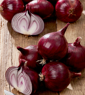 Семена Лук репчатый Кармен МС