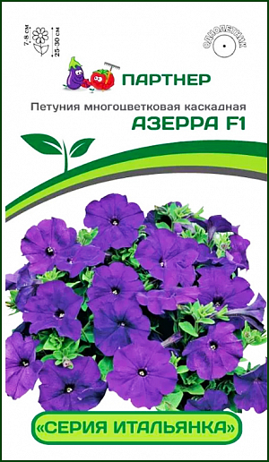 Семена Петуния Азерра F1. Экстремально выносливый гибрид, совершенно новый тип петунии - результат многолетней селекционной работы. Отличается чрезвычайной выносливостью и способностью адаптироваться к широкому диапазону температур от минус 5°С до плюс 40°С. При минусовых температурах растение не гибнет, а лишь замедляет свой рост. Благодаря удивительному ветвлению, побеги не оголяются, они стремятся вверх и в стороны, поэтому цветки равномерно распределяются по всему кусту, образуя пышные, красивые гирлянды. Данная группа выделяется достаточно «упитанными», но очень гибкими побегами. Растения непрерывно цветут с ранней весны до поздней осени, благодаря гену мужской стерильности. «Итальянка» достойна того, чтобы попробовать ее в своих идеях в саду, на балконе, а также в озеленении и ландшафтном оформлении. «Любовь» на долгие годы гарантируем! Сила и энергия гибрида позволяет растениям быть высокоустойчивыми к серой гнили (Botrytis). Ширина куста 60 см, высота растения 25-30 см, диаметр цветка 7-8 см.<br>
 <br>
 Практический совет:<br>
 -перед посевом необходимо провести обеззараживание почвы<br>
-гранулы располагайте по поверхности слегка увлажненной почвы, накройте стеклом или пленкой и содержите посевы при температуре не ниже + 25 градусов до момента прорастания. Следите за влажностью посевов и их проветриванием.