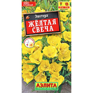 Семена Энотера Желтая свеча