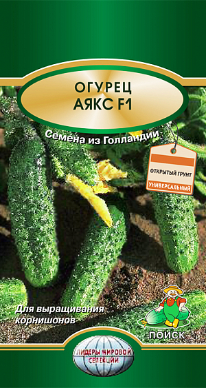 Семена Огурец Аякс F1