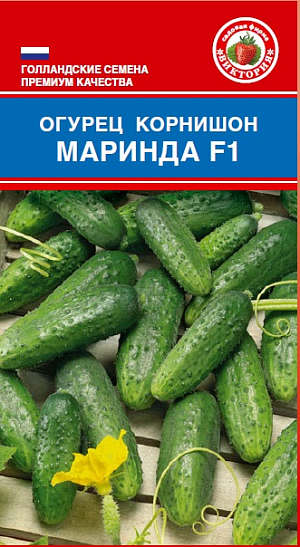Семена Огурец Маринда F1