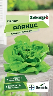 Салат Аланис