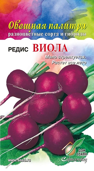 Редис Виола