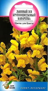 Львиный зев Канарейка
