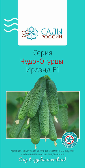Семена Огурец Ирлэнд F1 чудо