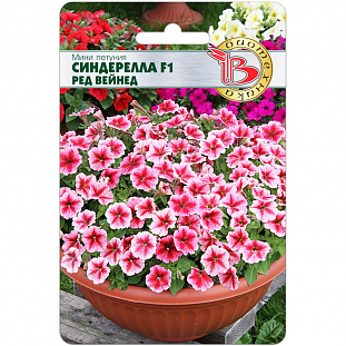 Семена Мини петуния Синдерелла Ред Вейнед F1