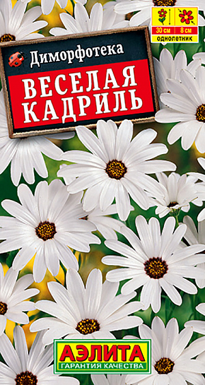 Семена Диморфотека Веселая кадриль. Очаровательный неприхотливый летник с пышным цветением. Сохраняет декоративность в течение всего сезона. Образует полушаровидные кустики высотой 30-35 см, усыпанные шелковистыми соцветиями  диаметром  7-8 см. на крепких цветоносах. Растения засухоустойчивые, светолюбивые, не боятся ветреной погоды, не выносят переувлажнения почвы. Отлично подходят для выращивания в горшках и балконных ящиках, роскошно смотрятся в каменистых садиках, бордюрах и рабатках. Могут давать самосев.<br>
 <br>
Посев в мае в открытый грунт на постоянное место. Всходы прореживают. Совет:  для более раннего цветения возможен посев в отдельные горшочки по 2-3 семени в каждый. Высадка в открытый грунт в середине мая, с максимальным сохранением кома земли. 