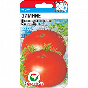 Семена Томат Зимние