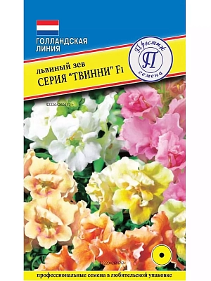Семена Львиный зев Твинни F1 из каталога Львиный зев Однолетник. Смесь красок. Высота 25-30 см, ширина 20-25 см. Это первый низкорослый махровый F1 гибрид львиного зева на рынке. Растения с привлекательными полумахровыми и махровыми цветками, с мощным боковым ветвлением. Хорошо переносят жаркую и влажную погоду, поэтому на протяжении всего длительного периода обильного цветения сохраняют отличный вид. «Твинни» подходит для выращивания в 10-15 см горшках, вазонах, контейнерах. Семена равномерно распределяют по поверхности субстрата, предварительно хорошо увлажненному, и накрывают стеклом либо прозрачной пленкой. Для прорастания растения необходим свет и температура 18 градусов. При соблюдении этих условий всходы появляются на 7-10 день. Выращивают на свету, но избегая попадания прямых солнечных лучей. Подросшие растения пикируют в отдельные горшочки или ящики, оставляя 5 см между растениями. Акклиматизированные растения высаживают в грунт с шагом 20 см в начале мая.