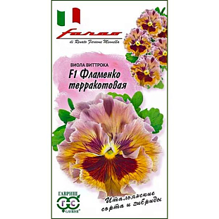 Семена Виола Фламенко терракотовая F1